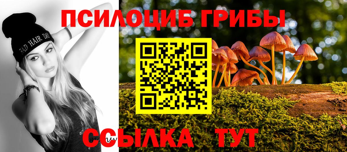 Галлюциногенные грибы GOLDEN TEACHER Пугачёв