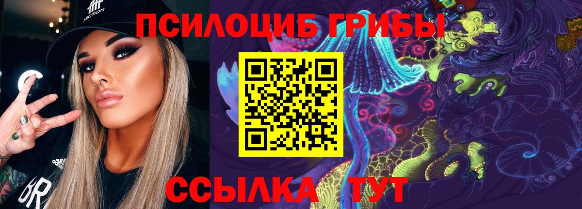 Пугачёв  Псилоцибиновые грибы Psilocybe  Вход с VPN 